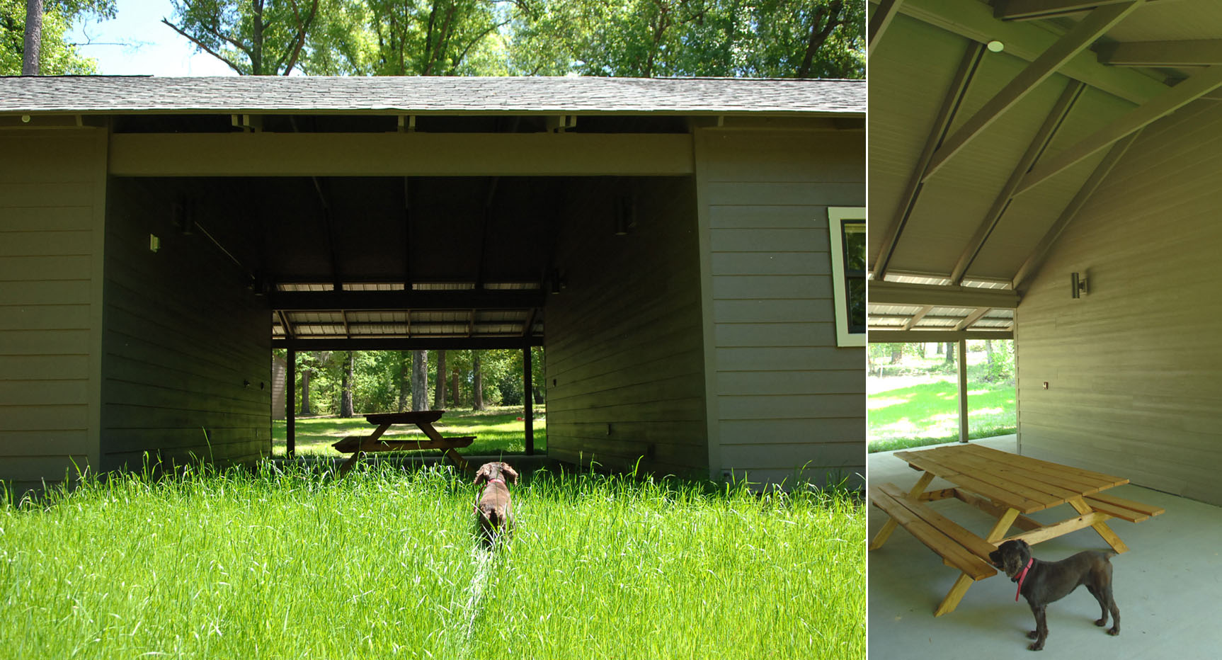AU_SolonDixon_Dogtrot & Porch