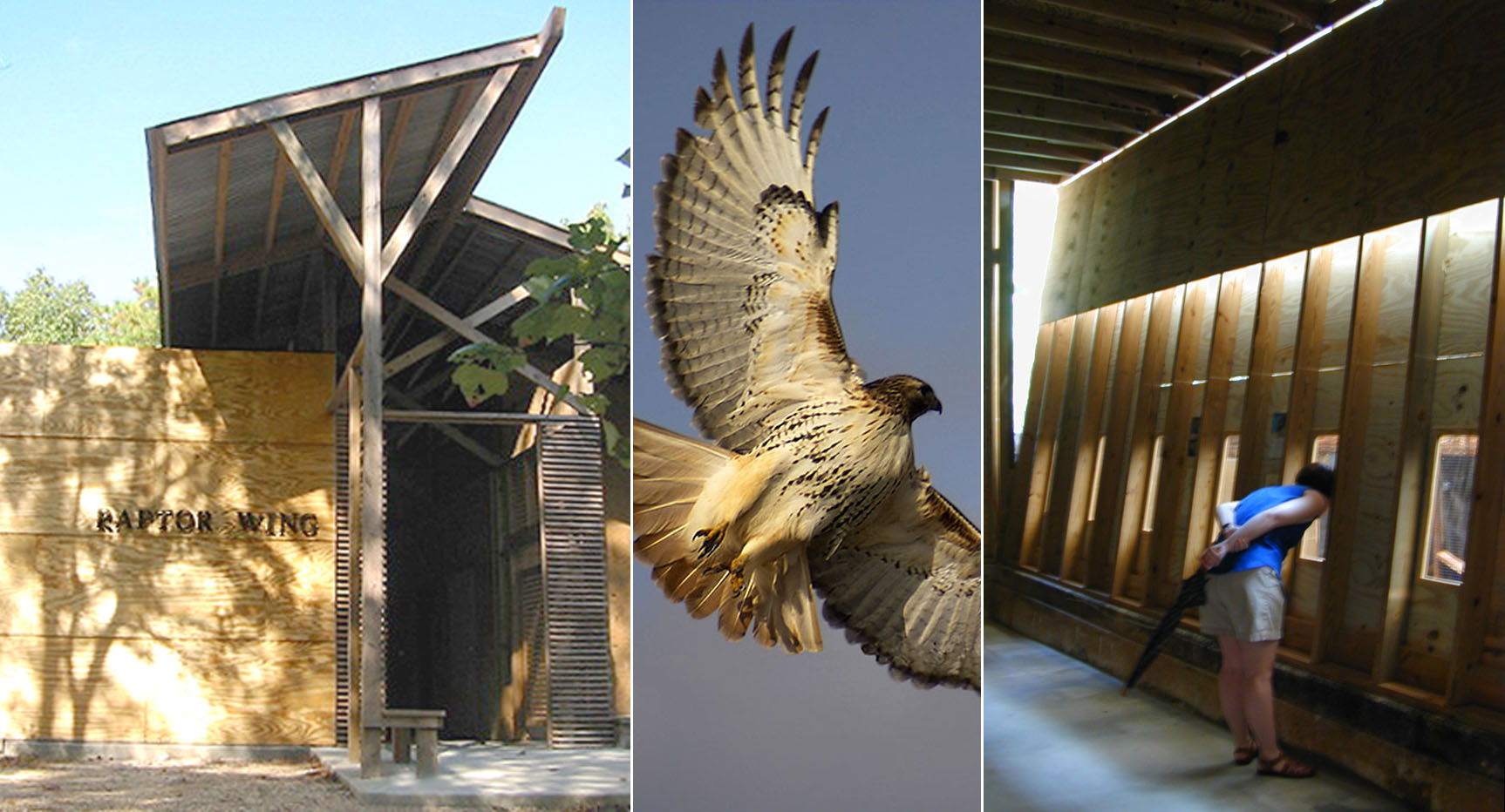 AWC_RaptorWing_Sign & Hawk & Enclosure