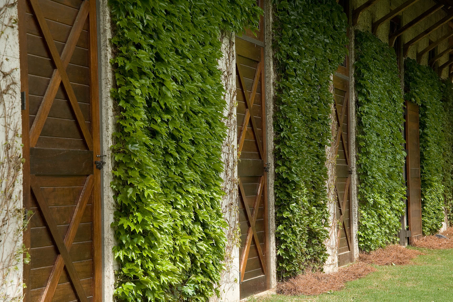 Factor48_IvyDoors