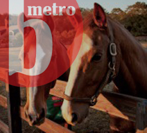B Metro - Nolen Barn
